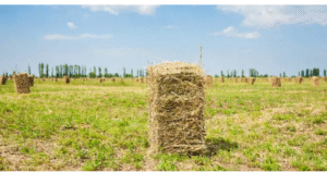 baler twine supplier