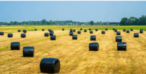 multi-layered silage wrap